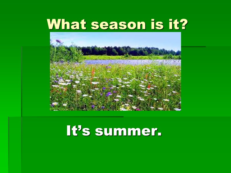 What season is it? It’s summer.